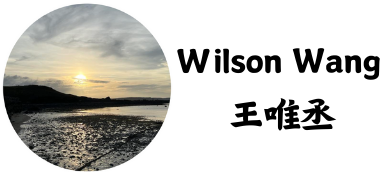 Wilson Wang 王唯丞